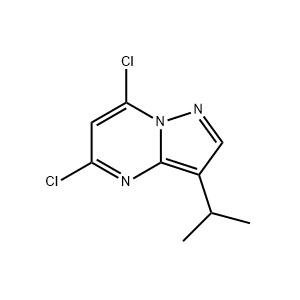aladdin 阿拉丁 D679686 5,7-二氯-3-异丙基吡唑并[1,5-a]嘧啶 771510-32-8 ≥97%