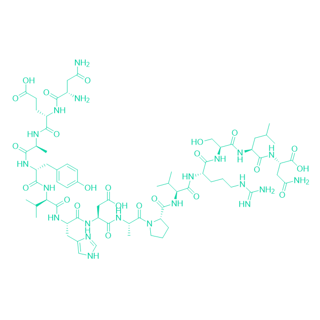 白细胞介素-1β转化酶底物多肽/143305-11-7/Interleukin-1β Convertase Substrate