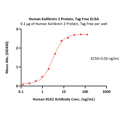 人Kallikrein 2 / KLK2A2蛋白, Tag Free