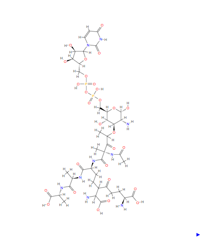 Udp-N-acetylmuramic acid pentapeptide