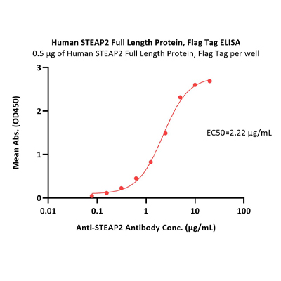 人STEAP2蛋白, Flag Tag