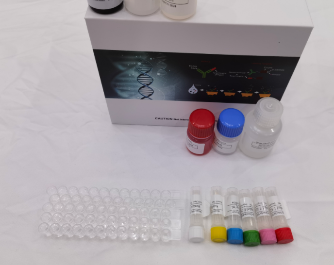 大鼠β氨基己糖苷酶(β-Hex)ELISA试剂盒