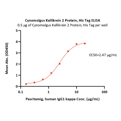 Kallikrein 2 / KLK2A2蛋白, His Tag