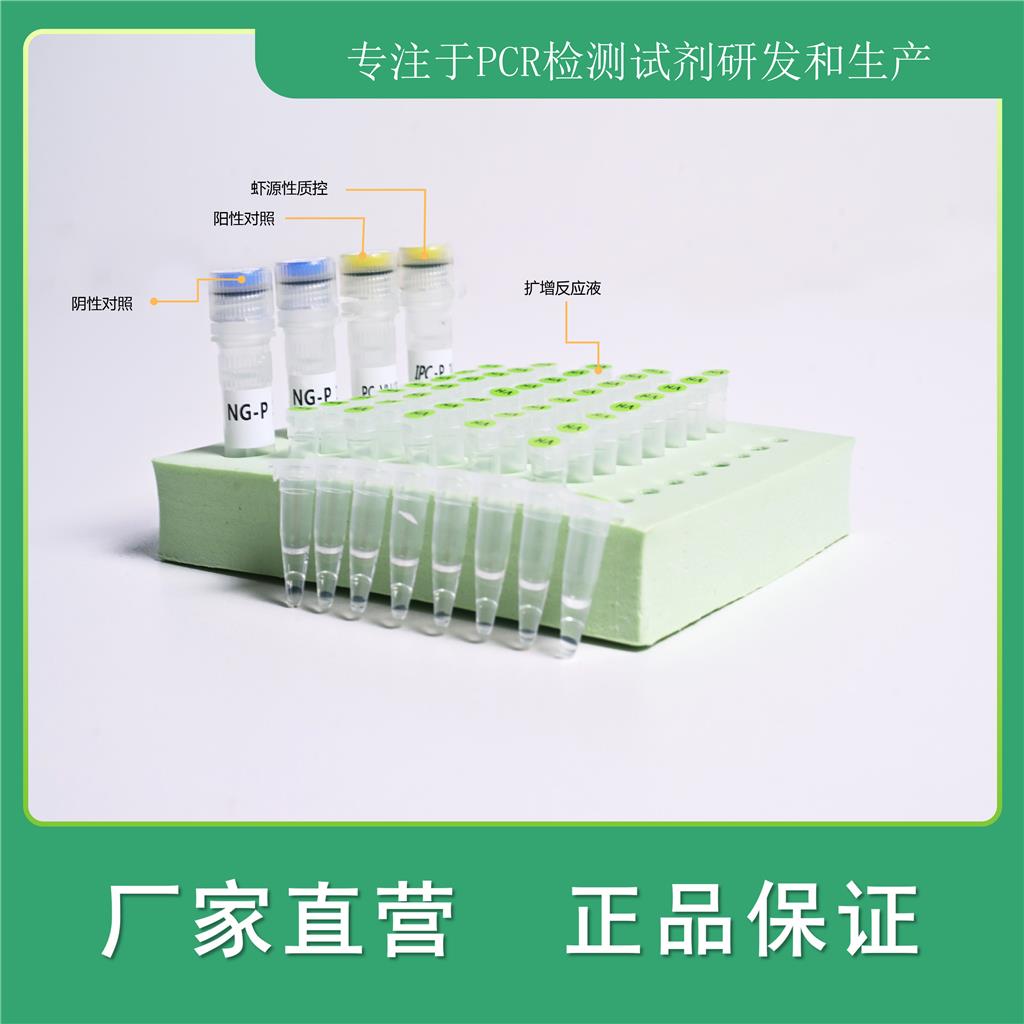 真核生物18S核酸检测试剂盒（PCR-荧光探针法）