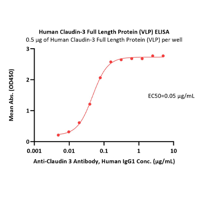 人Claudin-3全长蛋白(VLP)