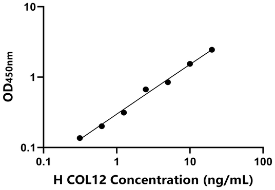COL12 ELISA KIT / 人Ⅻ型胶原 ELISA试剂盒