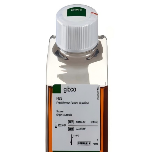 Gibco 10091148新西兰胎牛血清