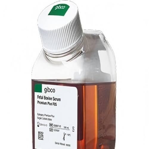 GibcoA5669701胎牛血清