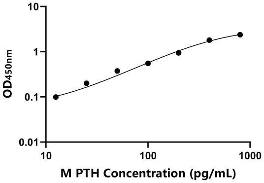 YJ37449.jpg YJ37449.jpg