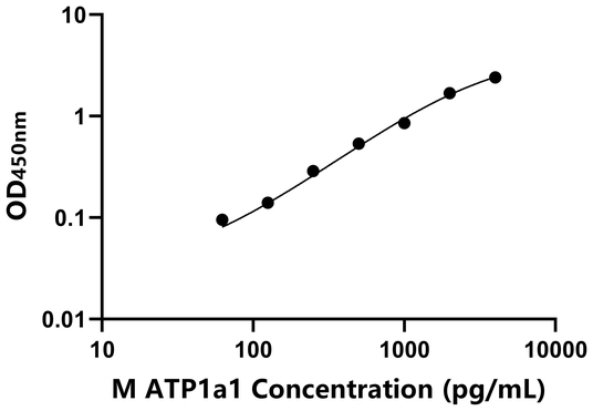 ATP1a1 ELISA KIT / 小鼠钠/钾离子转运ATP酶α1肽 ELISA试剂盒