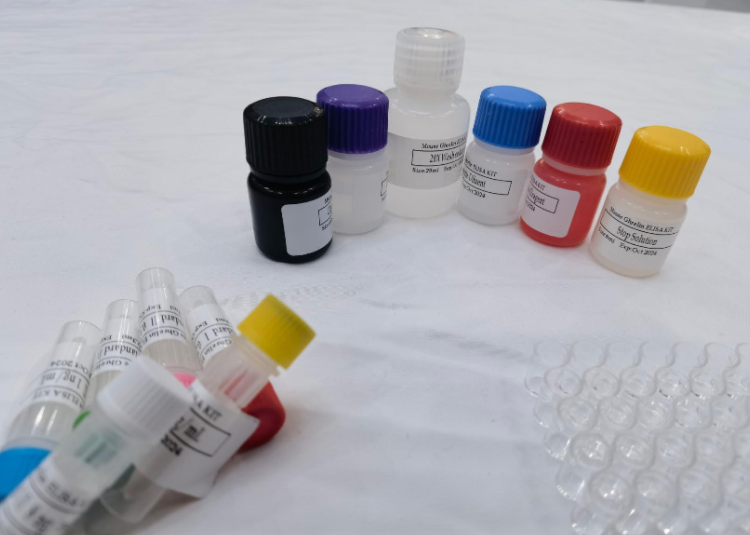 大鼠Mg2+/Mn2+依赖性蛋白磷酸酶1A(PPM1A)ELISA试剂盒