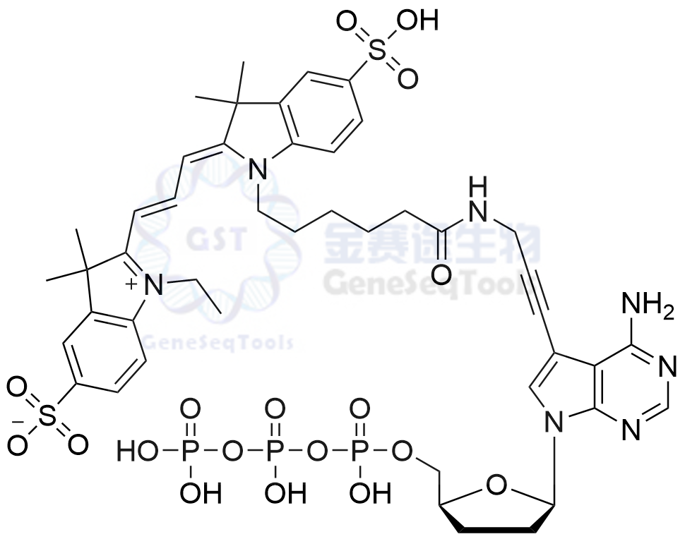 Cy3-ddATP | 试剂Cy3-ddATP溶液 Cyanine 3 dideoxyadenosine triphosphate
