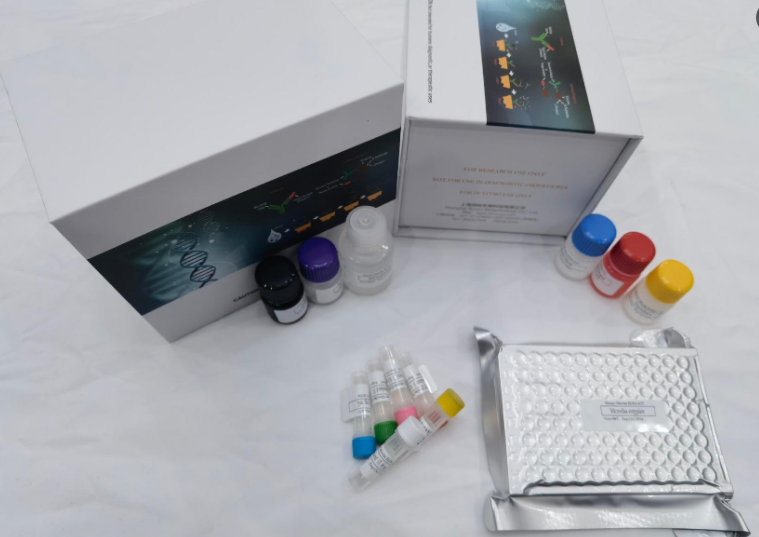 大鼠促红细胞生成素(EPO)ELISA试剂盒