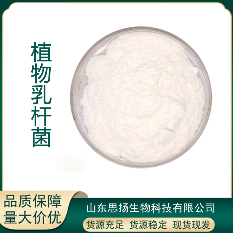植物乳杆菌厂家