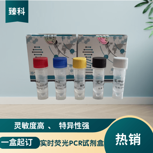 肉毒杆菌E型（CB-E）核酸试剂盒（荧光PCR法）