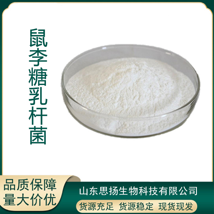 鼠李糖乳酪杆菌厂家