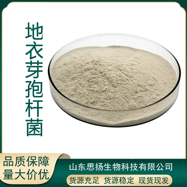 地衣芽孢杆菌厂家