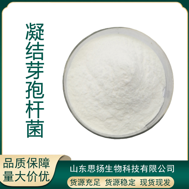 凝结芽孢杆菌厂家