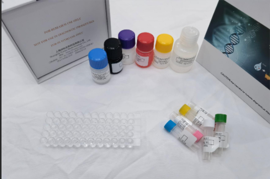 小鼠唾液酸结合Ig样凝集素15(SIGLEC15)ELISA试剂盒