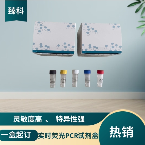 丙型肝炎病毒（HCV）核酸试剂盒（荧光PCR法）