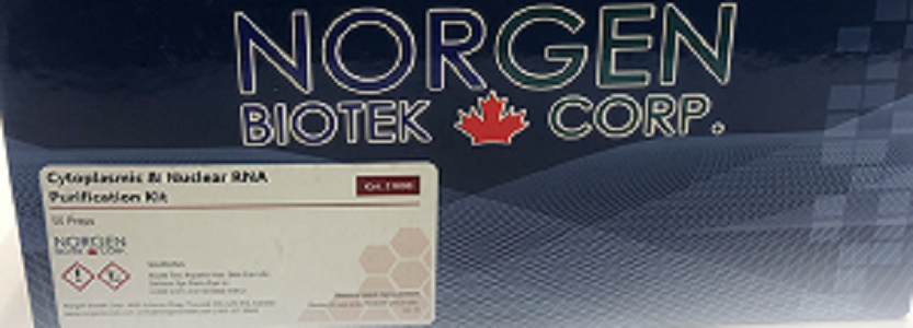 细胞质和细胞核RNA提取试剂盒