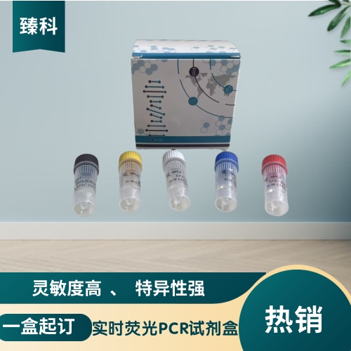 玉米内源基因zSSIIb核酸试剂盒（荧光PCR法）