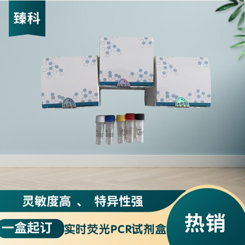 疟疾（通用）核酸试剂盒（荧光PCR法）