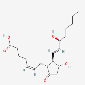 前列腺素E2-生物素，PGE2-Biotin