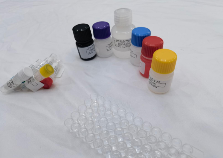 小鼠肾损伤分子1(Kim-1)ELISA试剂盒