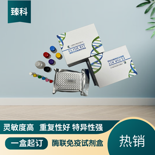 人低密度脂蛋白受体相关蛋白5(LRP-5）elisa检测试剂盒