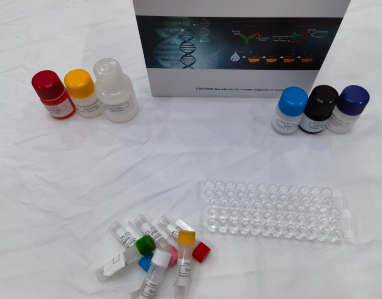 小鼠低密度脂蛋白(LDL)ELISA试剂盒