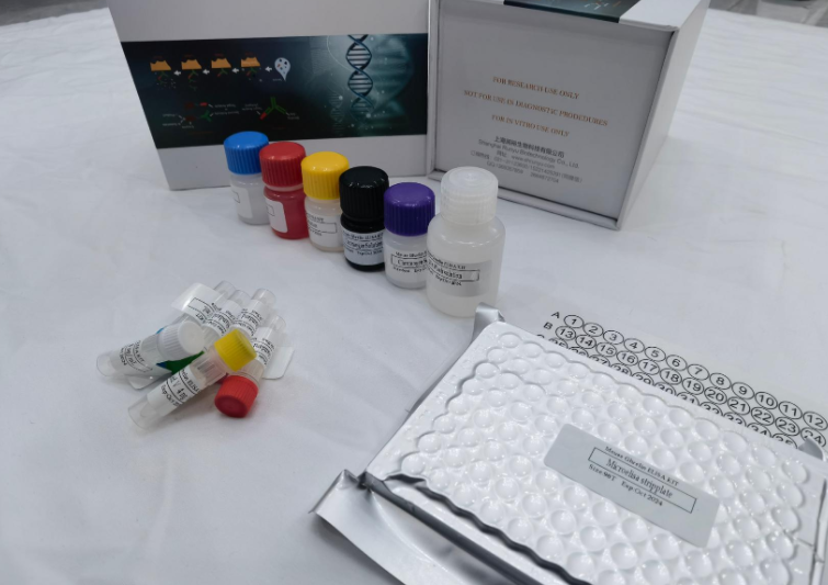 小鼠整合素α2β1(ITGα2β1)ELISA试剂盒