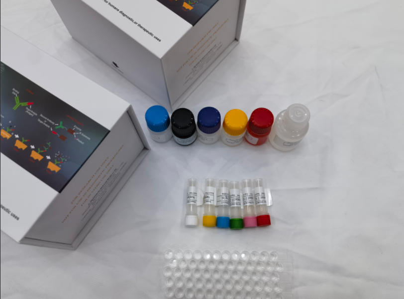 小鼠电压依赖性阴离子通道蛋白1(VDAC1)(VDAC1)ELISA试剂盒