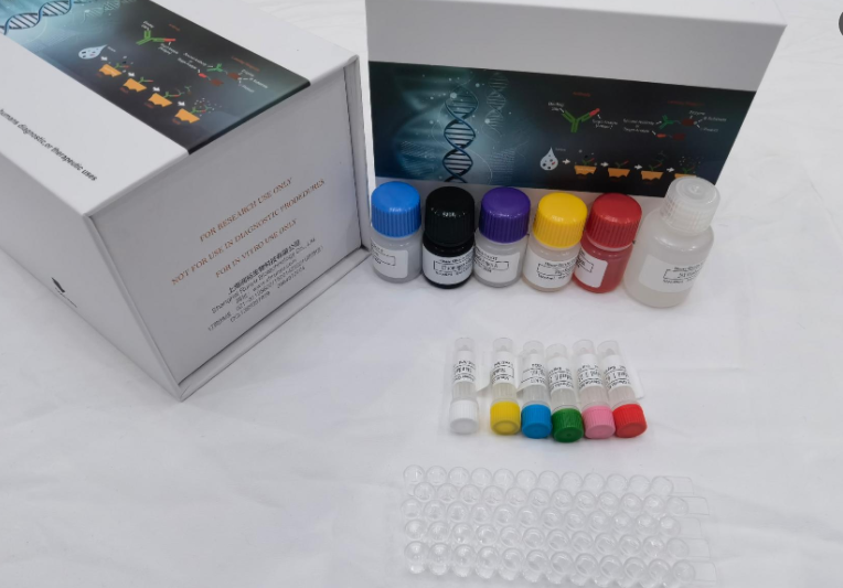 小鼠血管生成素样蛋白3(ANGPTL3)ELISA试剂盒