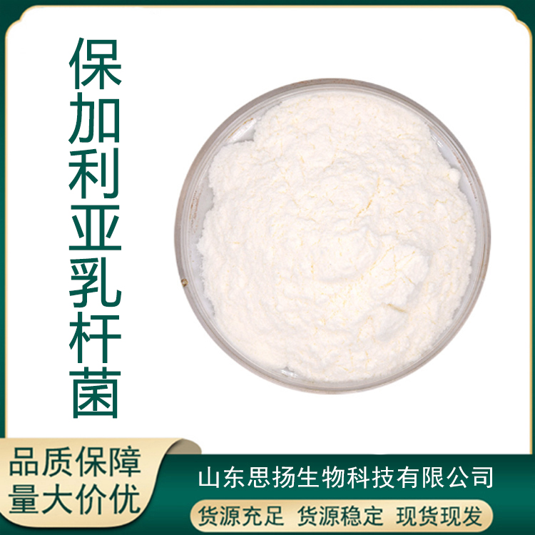 保加利亚乳杆菌厂家