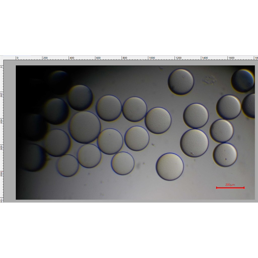 淀粉微球、栓塞微球、可降解微球、淀粉栓塞微球