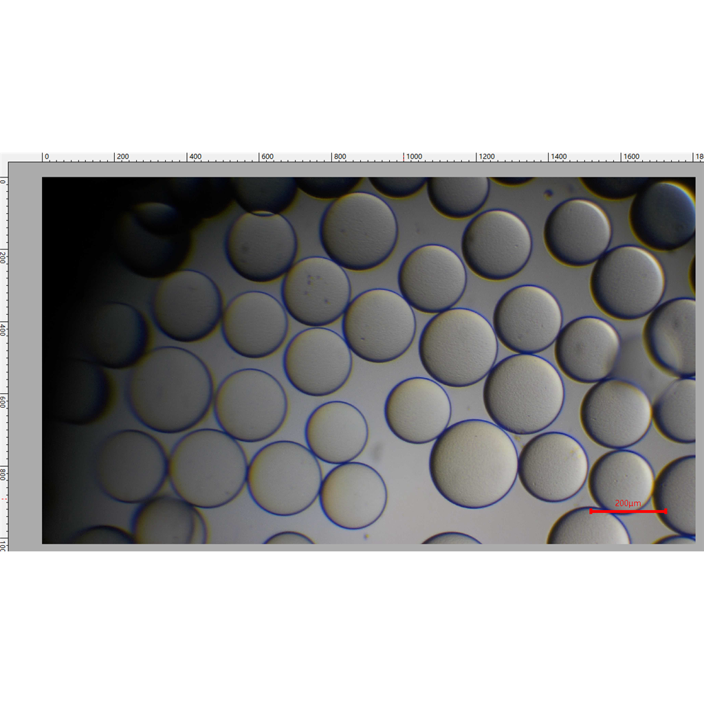 淀粉微球、栓塞微球、可降解微球、淀粉栓塞微球