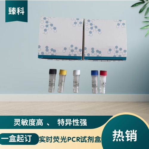 腮腺炎病毒核酸试剂盒（荧光PCR法）