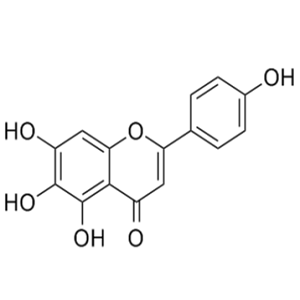 野黄芩苷-生物素，Scutellarin-Biotin