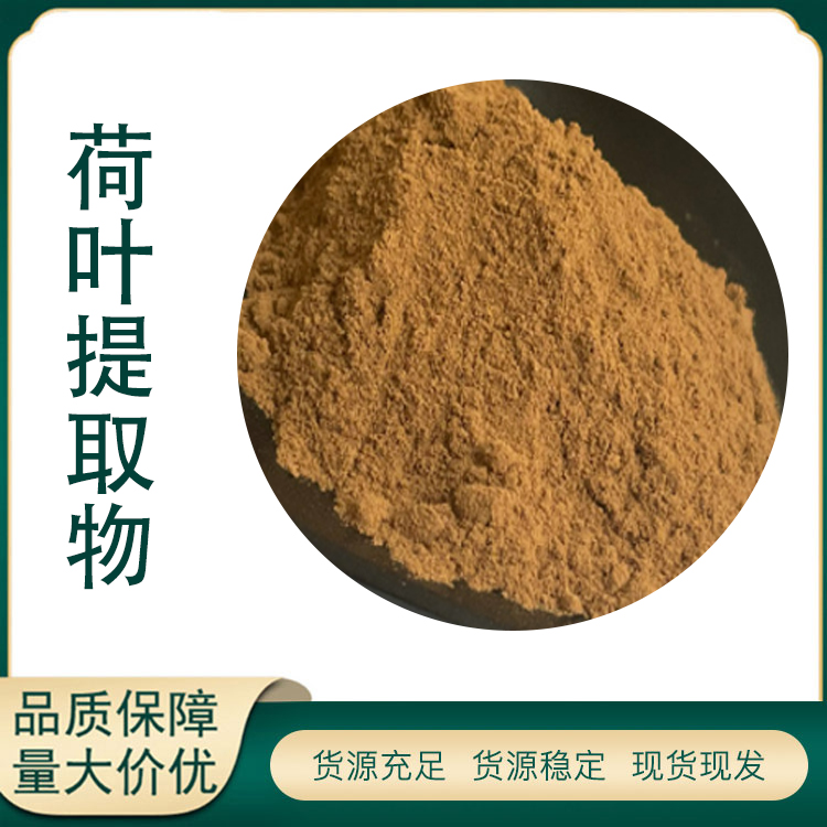 荷叶提取物厂家