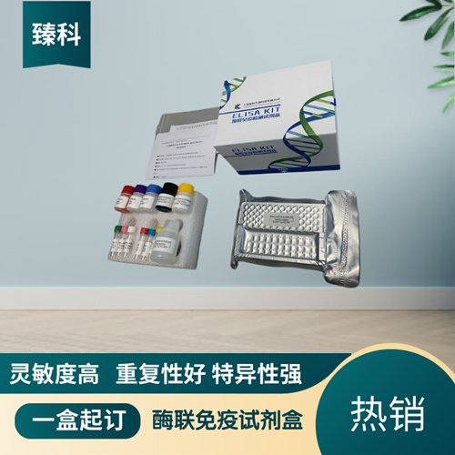 人肌腱蛋白R(TN-R）elisa测定试剂盒
