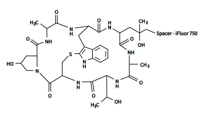 iFluor 750 Phalloidin；鬼笔环肽-iFluor 750标记
