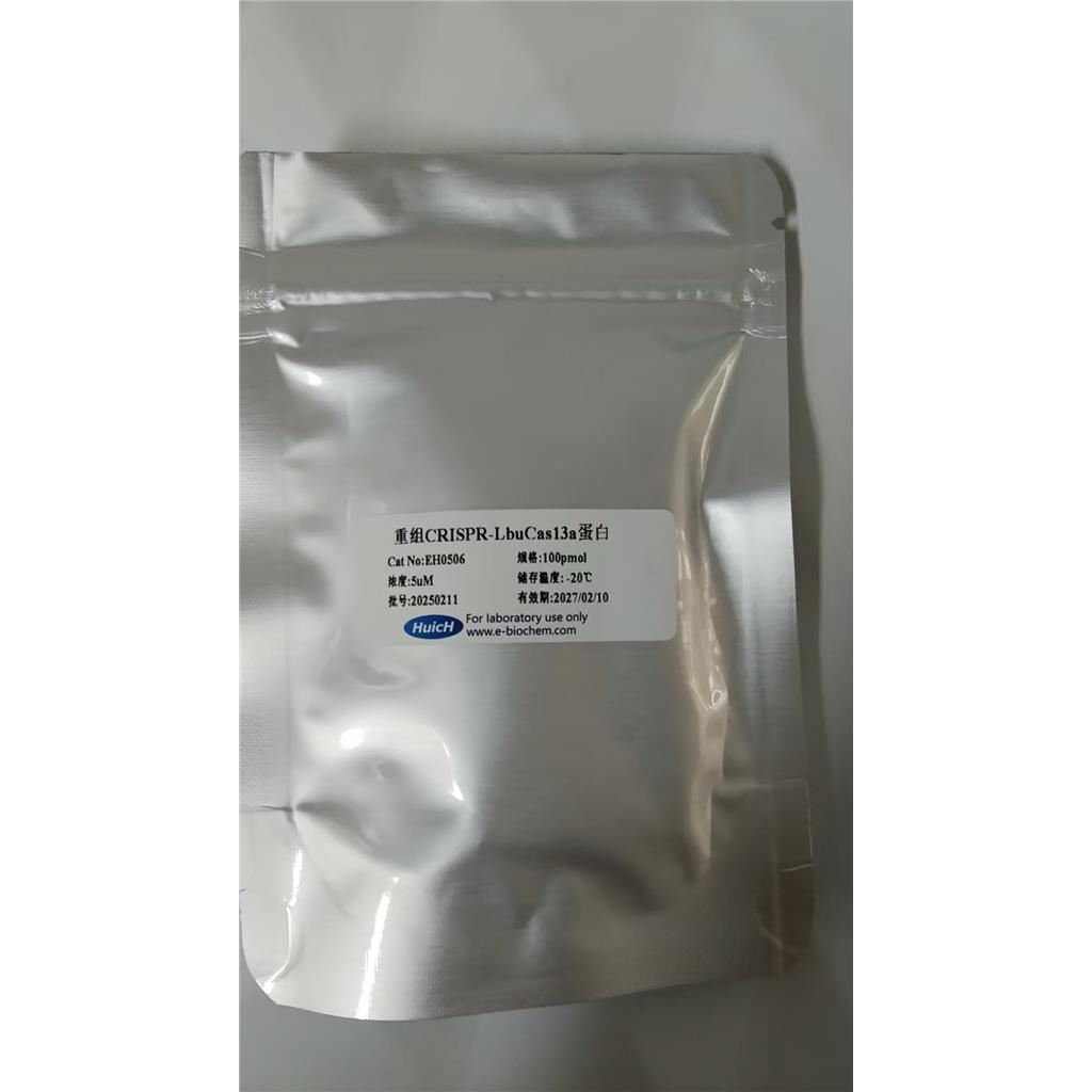 重组CRISPR-Lwa C a s13a蛋白：RNA 精准操控与分子诊断