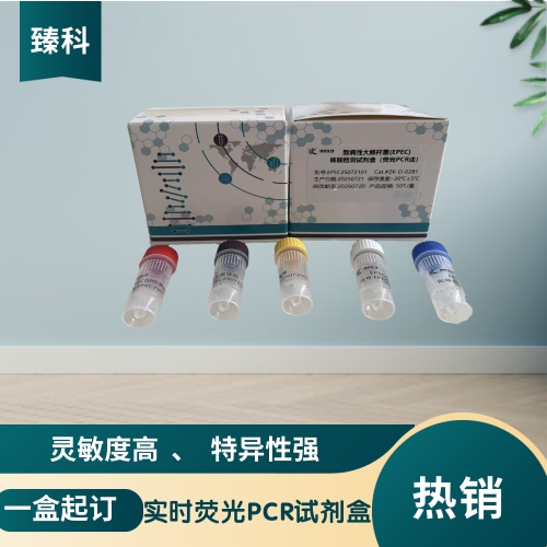 牛病毒性腹泻病毒(BVDV)核酸检测试剂盒(荧光-PCR法)