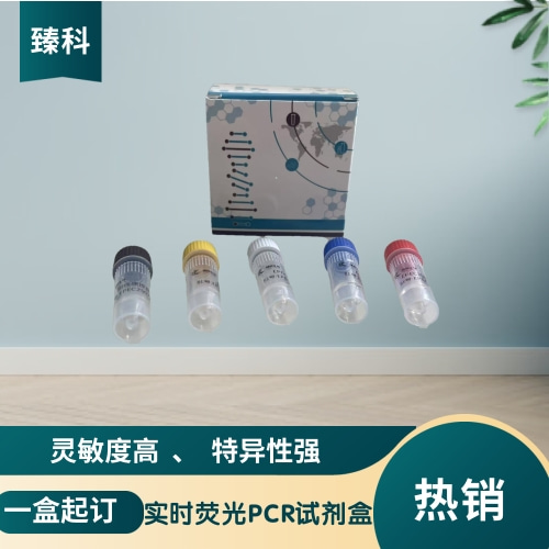 牛腺病毒3型(BAV-3)检测试剂盒(荧光-PCR法)