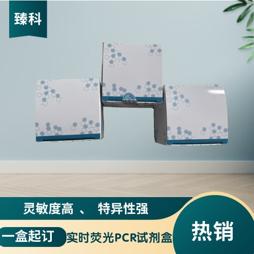 西尼罗河病毒(WNV)核酸检测试剂盒(荧光-PCR法)
