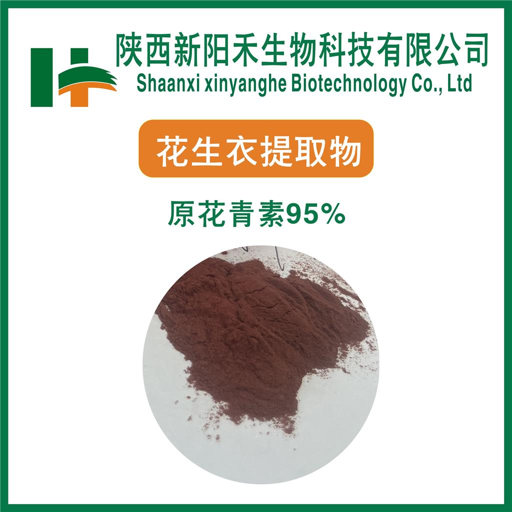 花生衣提取物     原花青素
