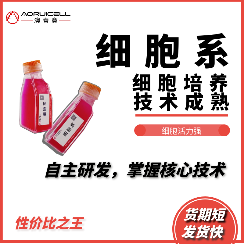 MDA-MB-231/ADR（人乳腺癌细胞耐药株）