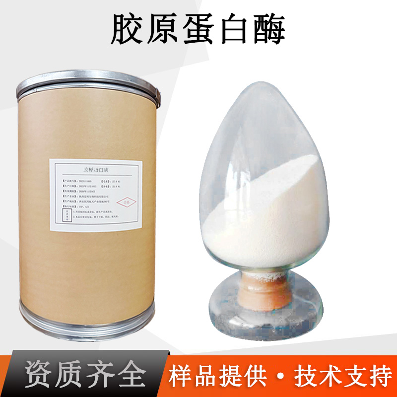 胶原蛋白酶厂家