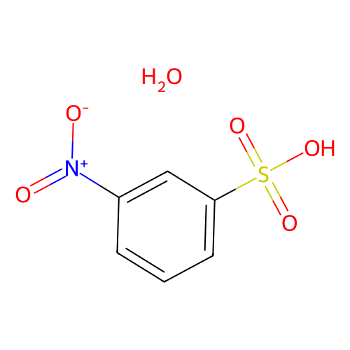 aladdin 阿拉丁 N590199 3-硝基苯磺酸一水合物 79326-96-8 ≥97%